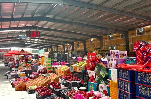 元旦市場供應(yīng)充足，新鮮水果喜迎佳節(jié)