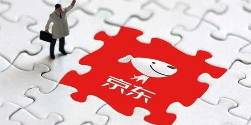 京東國際 發揮平臺優勢 穩外貿促進口 助推商品零售貿易高質量發展